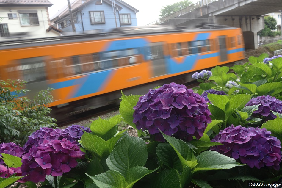 流山駅2番線で発車を待つ5002編成「流星」