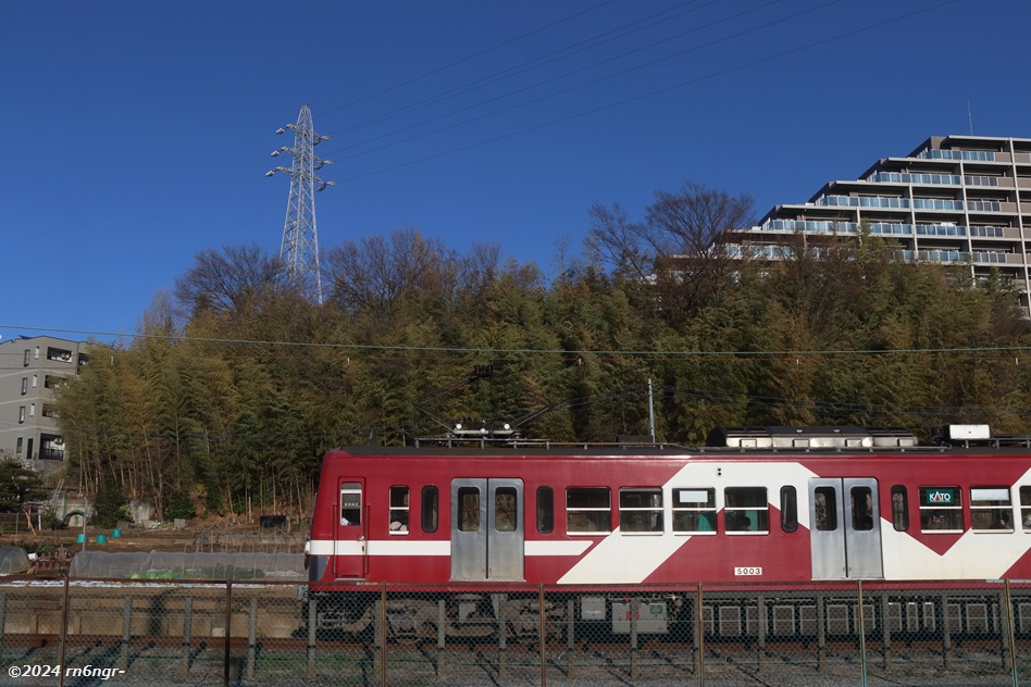 林の手前を走行する5003編成「あかぎ」