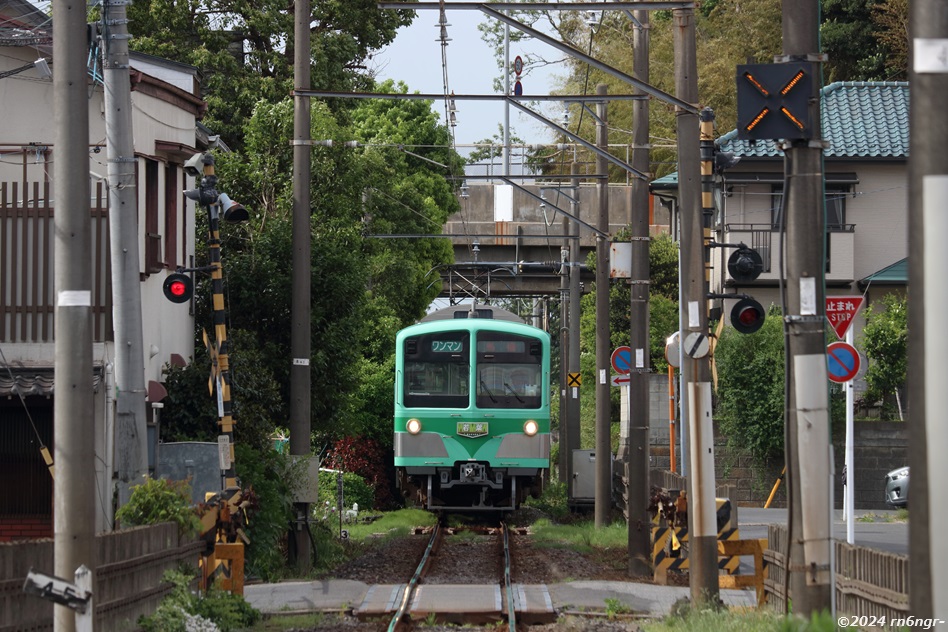 陸橋の脇の踏切を通過する5004編成「若葉」