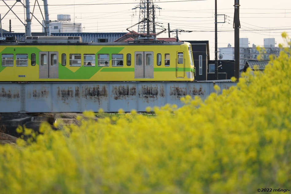 5005編成「なの花」とススキの穂